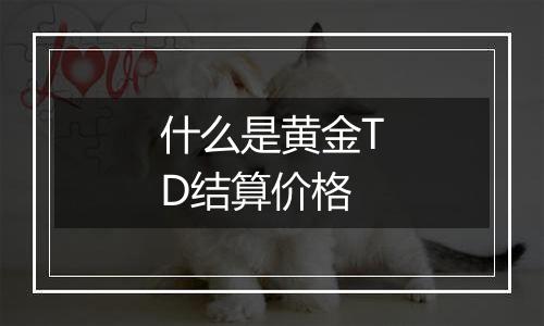 什么是黄金TD结算价格