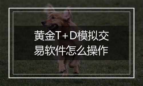 黄金T+D模拟交易软件怎么操作