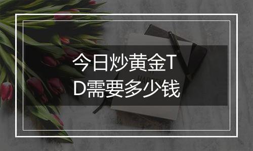 今日炒黄金TD需要多少钱