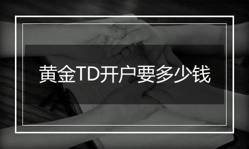 黄金TD开户要多少钱