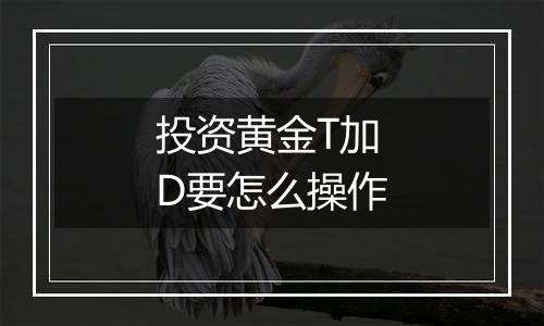 投资黄金T加D要怎么操作