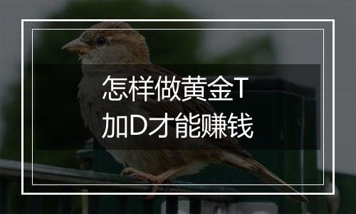 怎样做黄金T加D才能赚钱