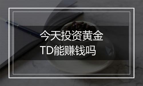 今天投资黄金TD能赚钱吗