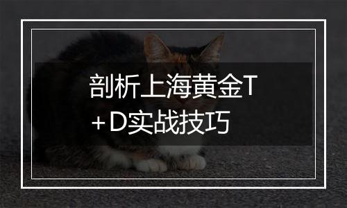 剖析上海黄金T+D实战技巧