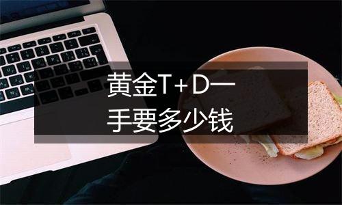 黄金T+D一手要多少钱