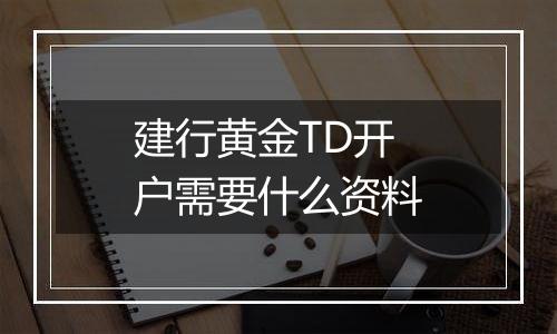 建行黄金TD开户需要什么资料