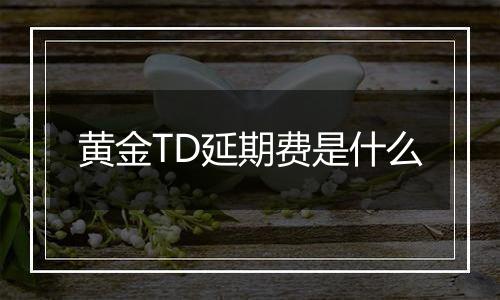 黄金TD延期费是什么