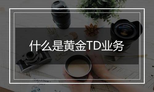 什么是黄金TD业务