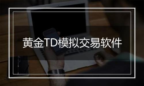 黄金TD模拟交易软件