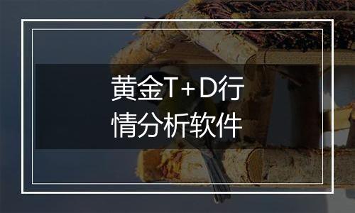 黄金T+D行情分析软件