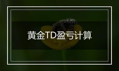 黄金TD盈亏计算