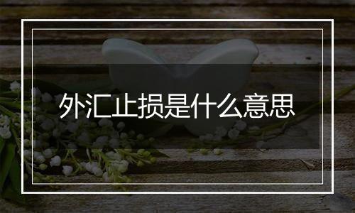 外汇止损是什么意思