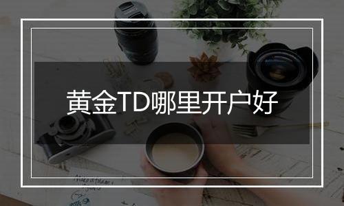 黄金TD哪里开户好