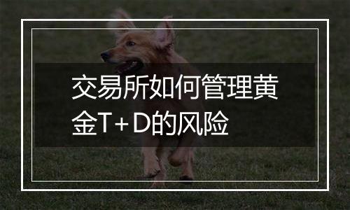 交易所如何管理黄金T+D的风险