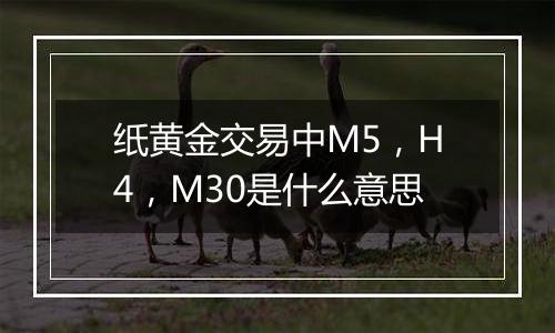 纸黄金交易中M5，H4，M30是什么意思