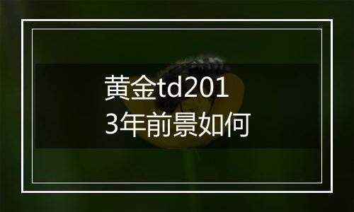 黄金td2013年前景如何