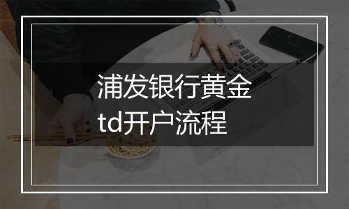 浦发银行黄金td开户流程