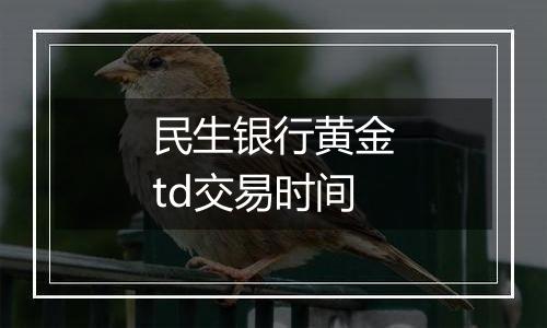 民生银行黄金td交易时间