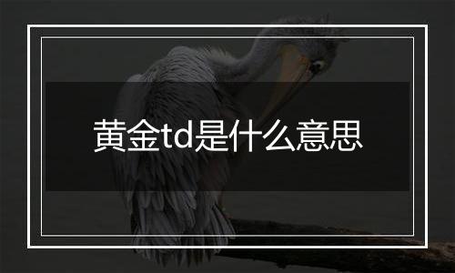 黄金td是什么意思