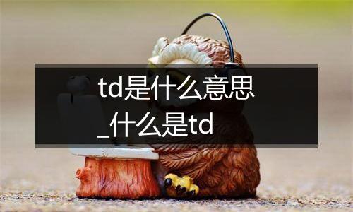 td是什么意思_什么是td