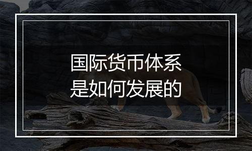 国际货币体系是如何发展的