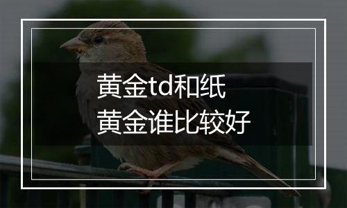 黄金td和纸黄金谁比较好