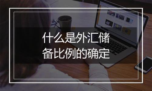 什么是外汇储备比例的确定