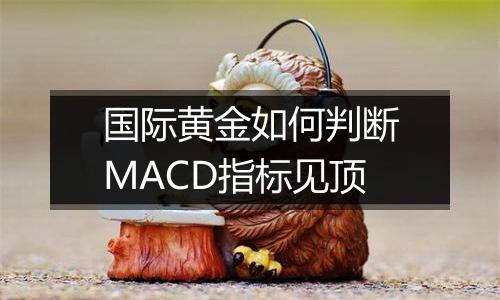 国际黄金如何判断MACD指标见顶