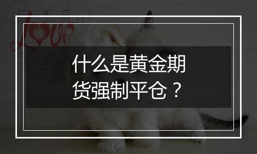 什么是黄金期货强制平仓？