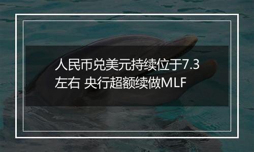 人民币兑美元持续位于7.3左右 央行超额续做MLF