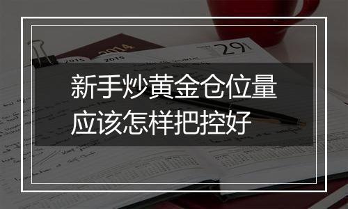 新手炒黄金仓位量应该怎样把控好