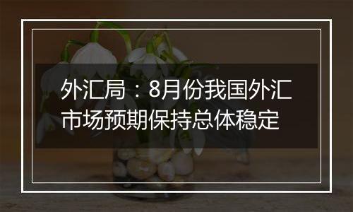 外汇局：8月份我国外汇市场预期保持总体稳定