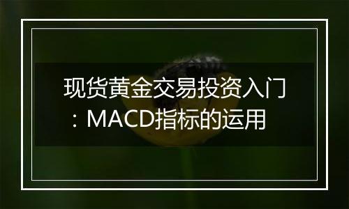 现货黄金交易投资入门：MACD指标的运用