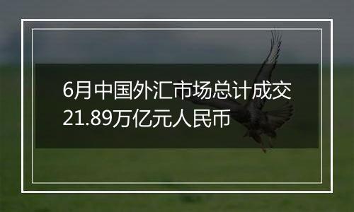 6月中国外汇市场总计成交21.89万亿元人民币