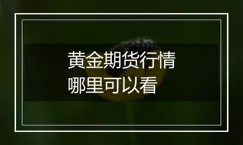 黄金期货行情哪里可以看