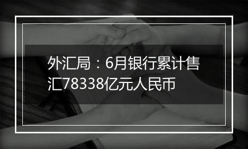 外汇局：6月银行累计售汇78338亿元人民币