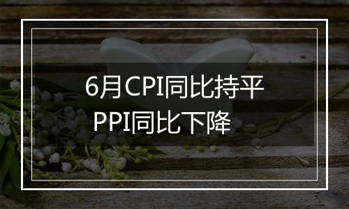 6月CPI同比持平 PPI同比下降