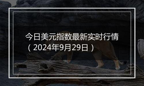 今日美元指数最新实时行情（2024年9月29日）