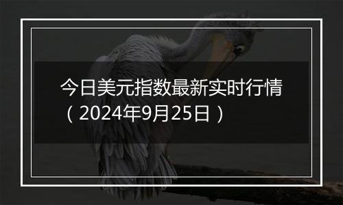 今日美元指数最新实时行情（2024年9月25日）