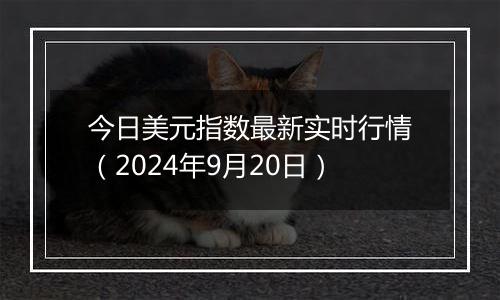 今日美元指数最新实时行情（2024年9月20日）