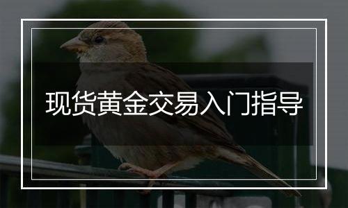 现货黄金交易入门指导