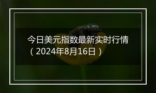 今日美元指数最新实时行情（2024年8月16日）