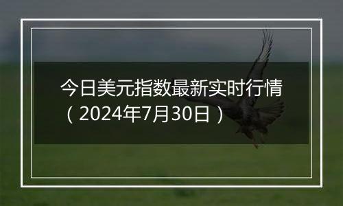 今日美元指数最新实时行情（2024年7月30日）