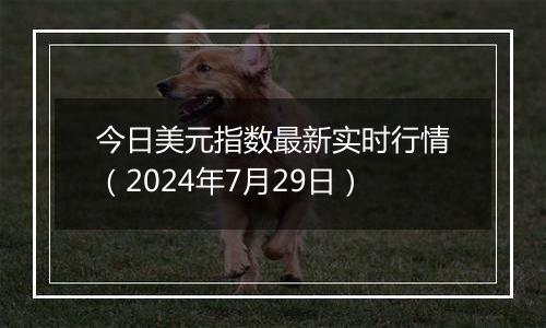 今日美元指数最新实时行情（2024年7月29日）