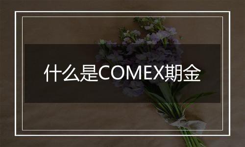 什么是COMEX期金