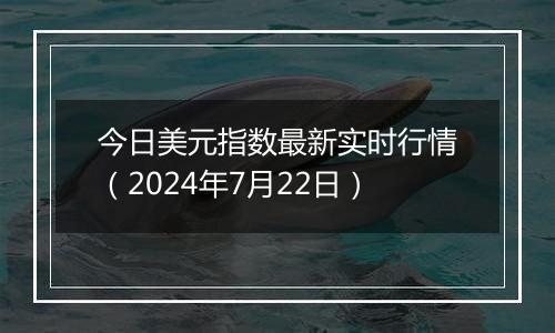 今日美元指数最新实时行情（2024年7月22日）