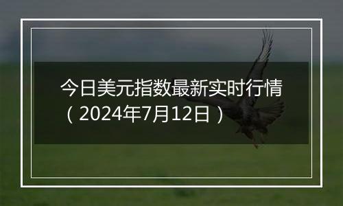 今日美元指数最新实时行情（2024年7月12日）