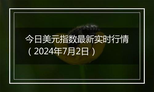 今日美元指数最新实时行情（2024年7月2日）