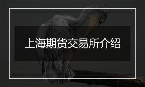 上海期货交易所介绍