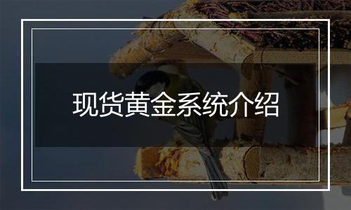 现货黄金系统介绍